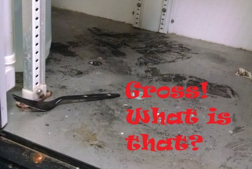 The refrigerator at a Springfield-area business is about to get a bath. Employees at the firm were not sure the last time somebody had cleaned the refrigerator properly.